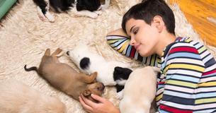 British Program Offers Anxious Students Free Puppy Cuddling Sessions To Help Them Relax