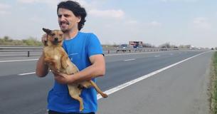 Scared Dog Gets Rescued From Middle Of Busy Motorway
