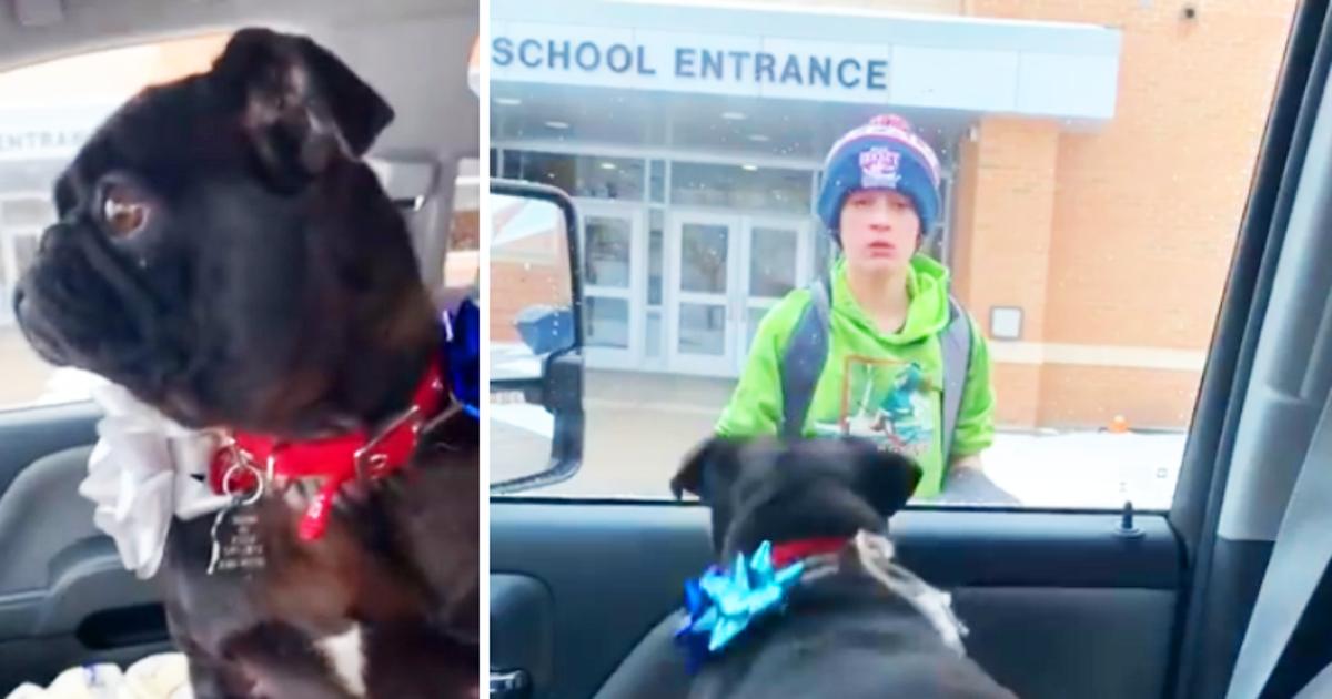 Boy Reunites With Lost Dog After She Was Missing For 2.5 Weeks