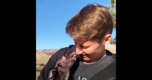 Rescuer Takes In Deformed Dog And Is Showered With Gratitude