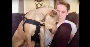 Un chien sauvé d'un refuge tombe amoureux de son frère humain