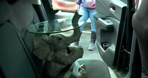 Laden kann Elefantentisch nicht an die trauernde Frau schicken, also planen Fremde eine geheime Autoreise, um ihm zu ihr zu transportieren.