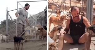 Serbian Nightclub Owner Opens Shelter And Rescues Over 1,000 Dogs From Life On The Streets
