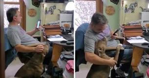 Fiancé Records Her Soon-To-Be Husband Singing To Their Dog