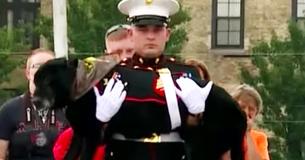 Un dernier adieu héroïque pour ce chien militaire atteint d'un cancer en phase terminale