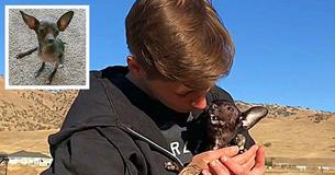 Une femme adopte une chienne ayant des malformations et elle lui montre en retour sa douce reconnaissance