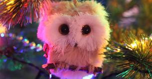 Family From Georgia Discovers Owl Hiding In Their Christmas Tree Amongst Decorations