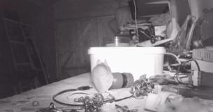 Tidy Mouse Seen On Camera Cleaning Up Tool Shed