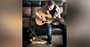 Soldier Says Final Farewell To Courageous K9 Hero By Draping Him In American Flag