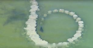 Un dauphin fait des cercles de boue autour des poissons alors que des images capturent le phénomène océanique