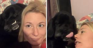 Dog Born With Facial Deformity Couldn't Find A Home Until Her Story Went National