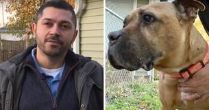 Un homme adopte une chienne de 10 ans atteinte d'un cancer en phase terminale-il dit qu'il ne pouvait pas la laisser seule