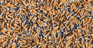 Les mégots de cigarettes sont la cause de la plus grande quantité de déchets sur terre et des bénévoles en ont ramassé 270 000 en quelques heures seulement