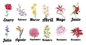 Esto es lo que tu flor del Zodiaco revela sobre quién eres en realidad