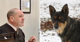 Rechter eist dat vrouw slaapt op stortplaats nadat ze haar hond had verwaarloosd