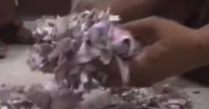 Rats Destroyed $18,000 Worth Of Cash Inside Indian ATM