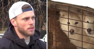 Olympic Skier Gus Kenworthy Saves Dogs From Meat Farms In South Korea