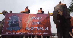 Thai Elephants And Students March In Silence For Australian Bushfires