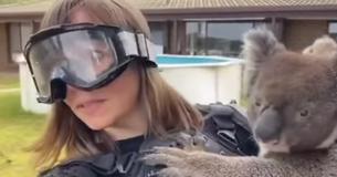 Journalist Gets Fooled By Australian Drop Bear Prank While Covering Kangaroo Island Bushfires