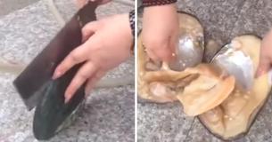 Une femme chanceuse a trouvé des douzaines de perles à l'ouverture d'un bénitier géant
