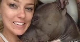 Hondeneigenaar krijgt een douche met kusjes van haar pitbull als hij wakker wordt