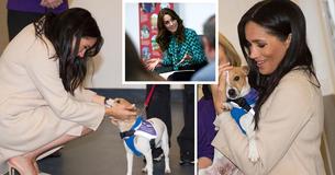 Les photos de la visite de Meghan Markle pour le sauvetage des animaux ont été publiées le même jour du lancement d'une campagne de protection de l'enfance par Kate Middleton