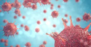An Overview Of The Wuhan Coronavirus Outbreak