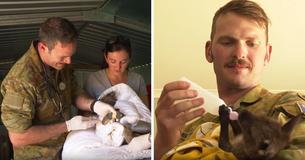 Soldiers Helping Tackle Bushfires In Australia Are Spending Their Days Off Caring For Displaced Koalas