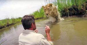 L'homme qui a sauvé deux lionceaux il y a sept ans revient pour les rencontrer face à face