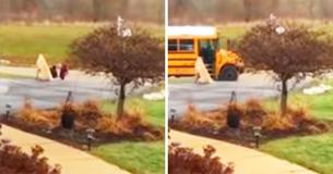 Protective Family Dog Guards Daughters While They Wait For School Bus
