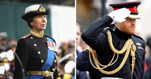 Prinses Anne is de volgende in lijn om rol kapitein-generaal der Mariniers van prins Harry over te nemen