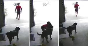 Vrouw ziet onbekenden jongen haar garage binnensluipen om te knuffelen met haar labrador