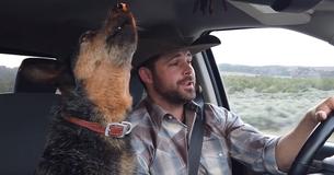 Country-Musik liebende Hündin hat einen Lieblingssong, bei dem sie nicht widerstehen kann, mit ihrem Besitzer mitzusingen