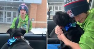 Mom Films Teen Son As He Is Overwhelmed By Reunion With Lost Dog