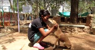 Rescue Workers Save Dog Stuck In Sewer Drain