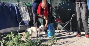 Meet The Vet Walking The Streets Of California Treating Homeless Peoples' Animals For Free