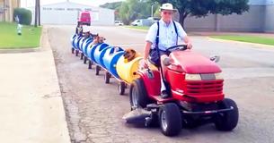 Retired Texas Man Rescues Homeless Stray Dogs and Takes Them On Cute Dog Train Rides
