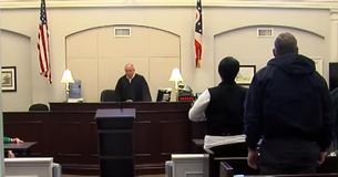 Judge Cicconetti From Ohio Sentences Woman Who Left Kittens Alone In The Woods To Spend Night Alone In The Woods Herself