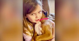 Une fillette de 4 ans est filmée en train de chanter une berceuse à son chiot Boxer