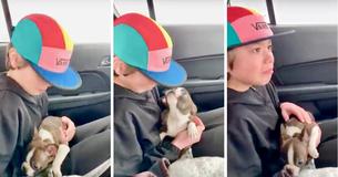 Un garçon de 13 ans du Michigan est en larmes lorsqu'il reçoit un chiot de son père décédé
