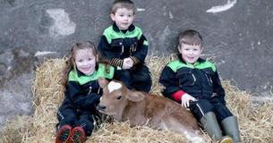 Calf Was Born On Valentine's Day With Heart-Shaped Birthmark