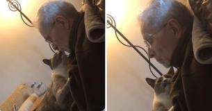 Sweet And Affectionate Cat Spends All Day Giving Comfort To His Owner With Alzheimer's Disease