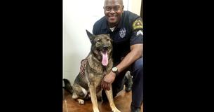 Police Officer On Patrol Takes Selfies With His Dog At Airport And Passerby Notices