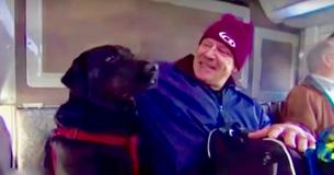 Ce Labrador prend le bus tout seul pour aller quotidiennement au parc et jouer pendant deux heures