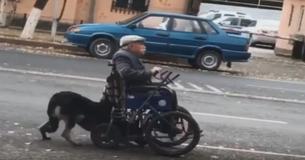 Loyal Dog Helps Elderly Owner By Pushing His Wheelchair Down The Road