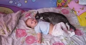 Kat merkt huilende baby op en helpt het kind te kalmeren door te spinnen en te knuffelen