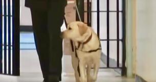 Man loopt gevangenis in met diensthond - Plotseling sprint de hond naar een gevangene