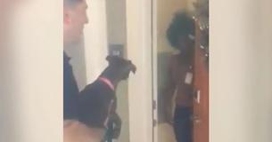 Une femme se fait voler sa voiture avec sa chienne à l'intérieur et réagit avec joie au retour de la police
