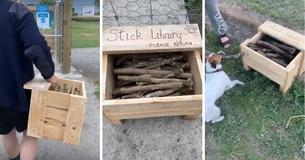 Dog-Lover Builds A 'Stick Library' At His Local Dog Park After Noticing A Shortage Of Sticks