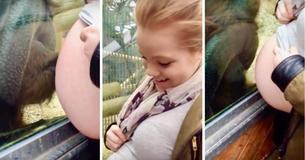 Orang-Oetan wordt emotioneel wanneer vrouw hem haar zwangere buik laat zien in de dierentuin
